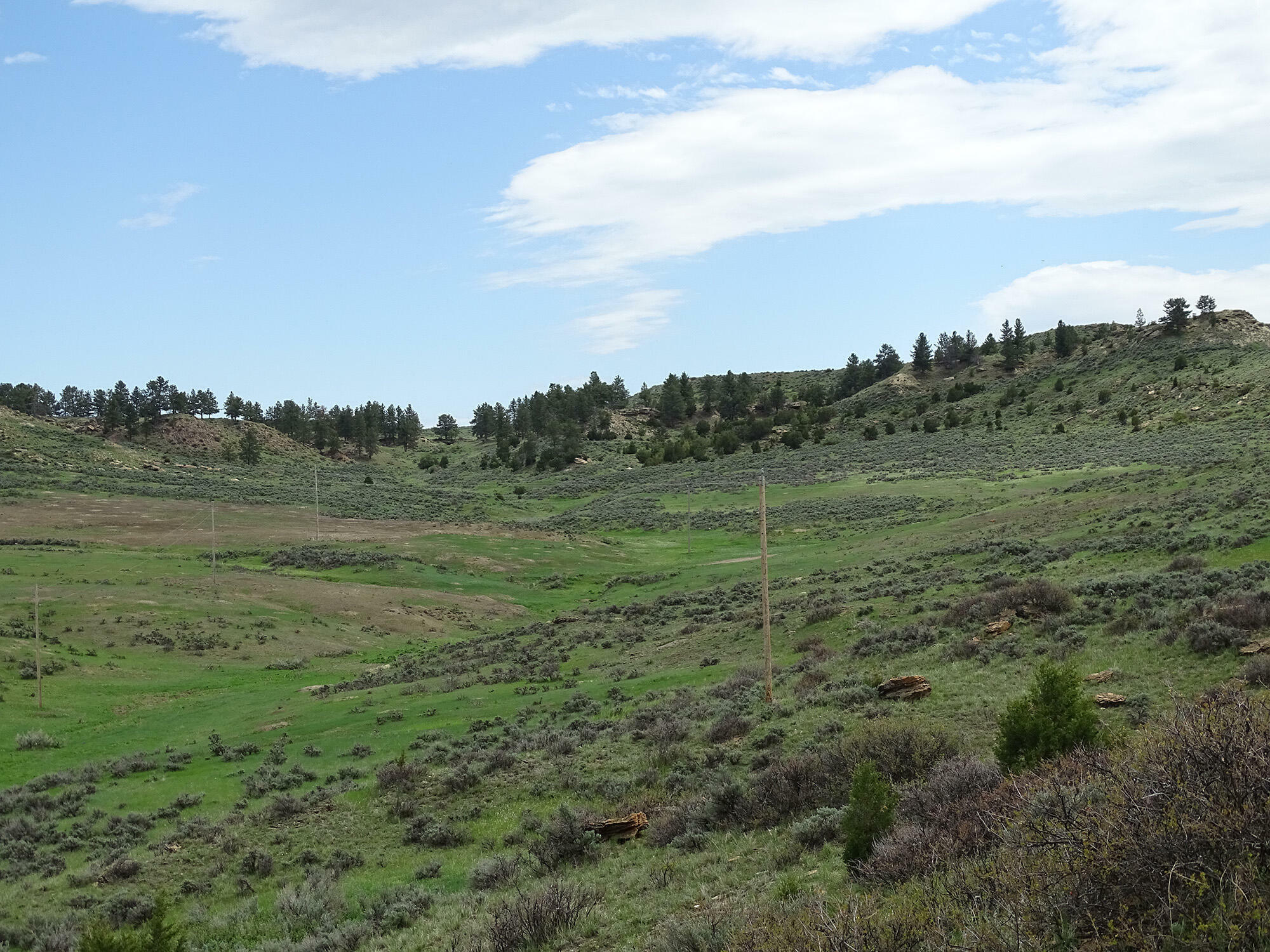 Property Photo:  Tract 3 SE Decker Road  WY 82801 