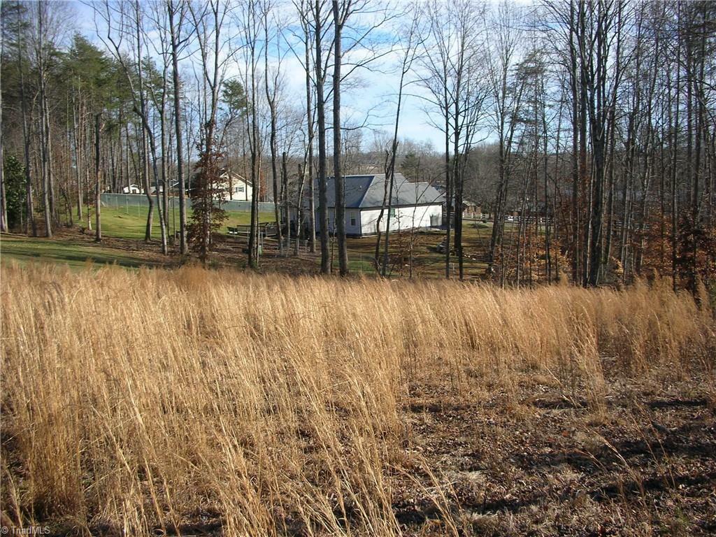 Property Photo:  2517 Mill Brook Trail  NC 27284 