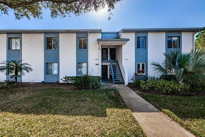 Property Photo:  258 Cypress Lane  FL 34677 