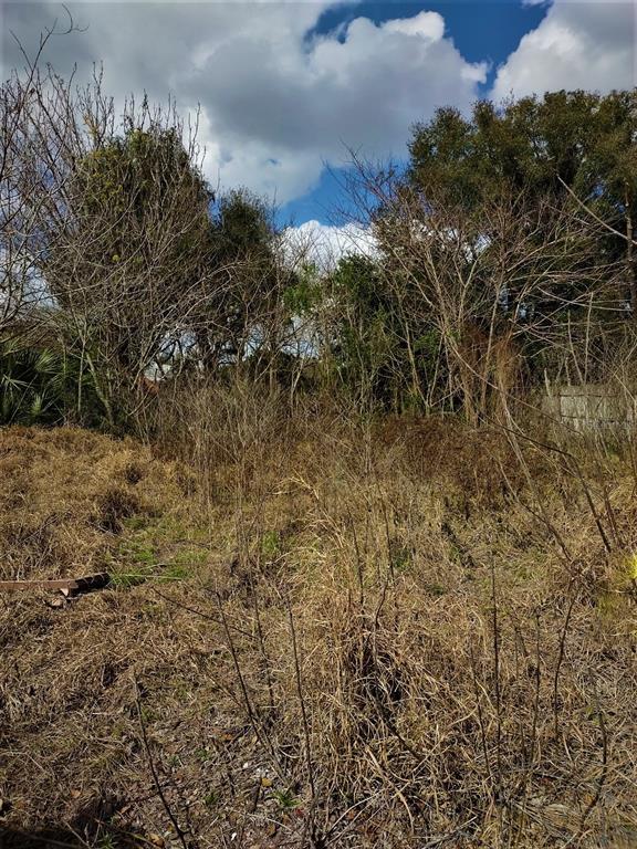 Property Photo:  206 North Boulevard E  FL 33837 