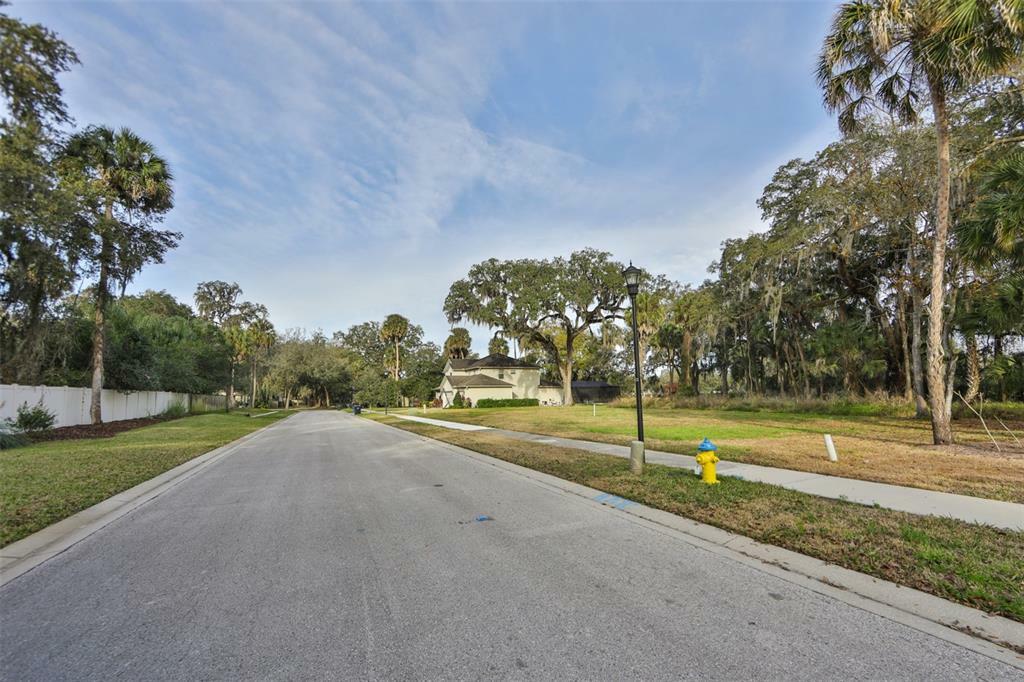 Property Photo:  1006 Hickory Fork Drive  FL 33584 