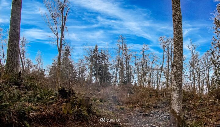 580 Carp Lake Road  Camano Island WA 98282 photo