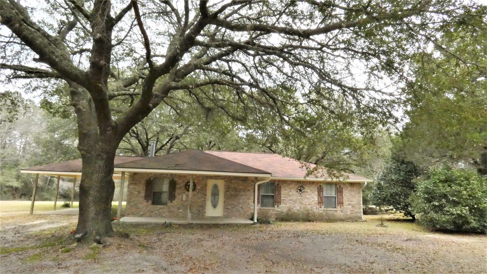 Property Photo:  399 County Road 4710  TX 77656 