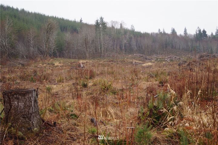 Property Photo:  600 E Satsop Road  WA 98541 