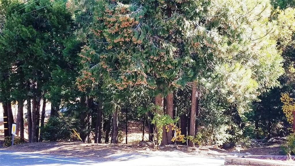 Property Photo:  0 Grass Valley Road  CA 92352 