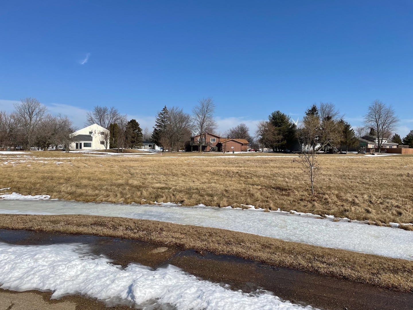 Property Photo:  163 Prairie Turn  IL 60919 