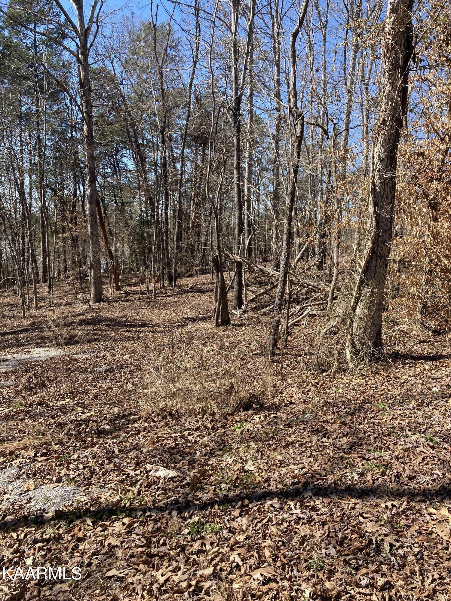 Property Photo:  1063 Wilderness Rd  TN 37737 