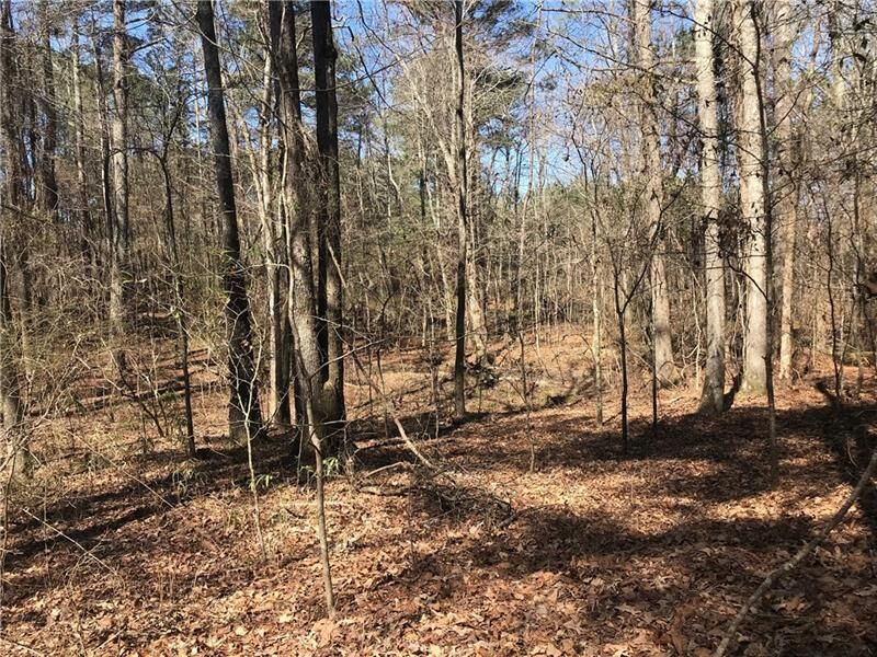 Property Photo: 0 Emory Phillips Road GA 30277