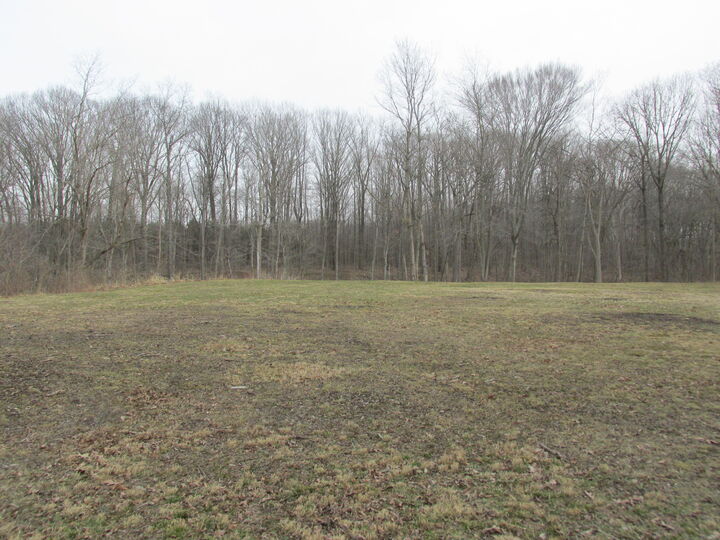 15771 Mydra Road  Union Pier MI 49129 photo