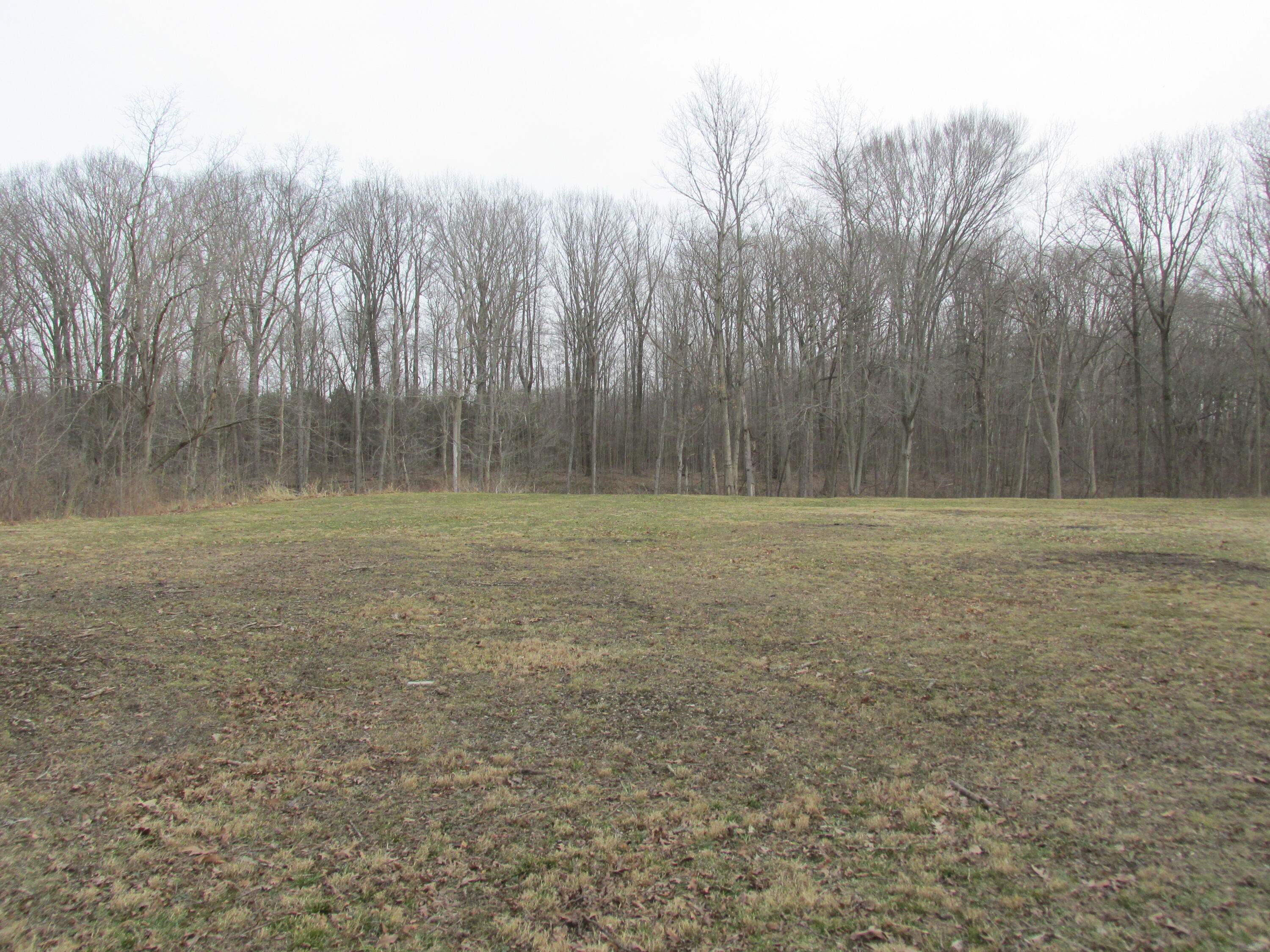 Property Photo:  15771 Mydra Road  MI 49129 