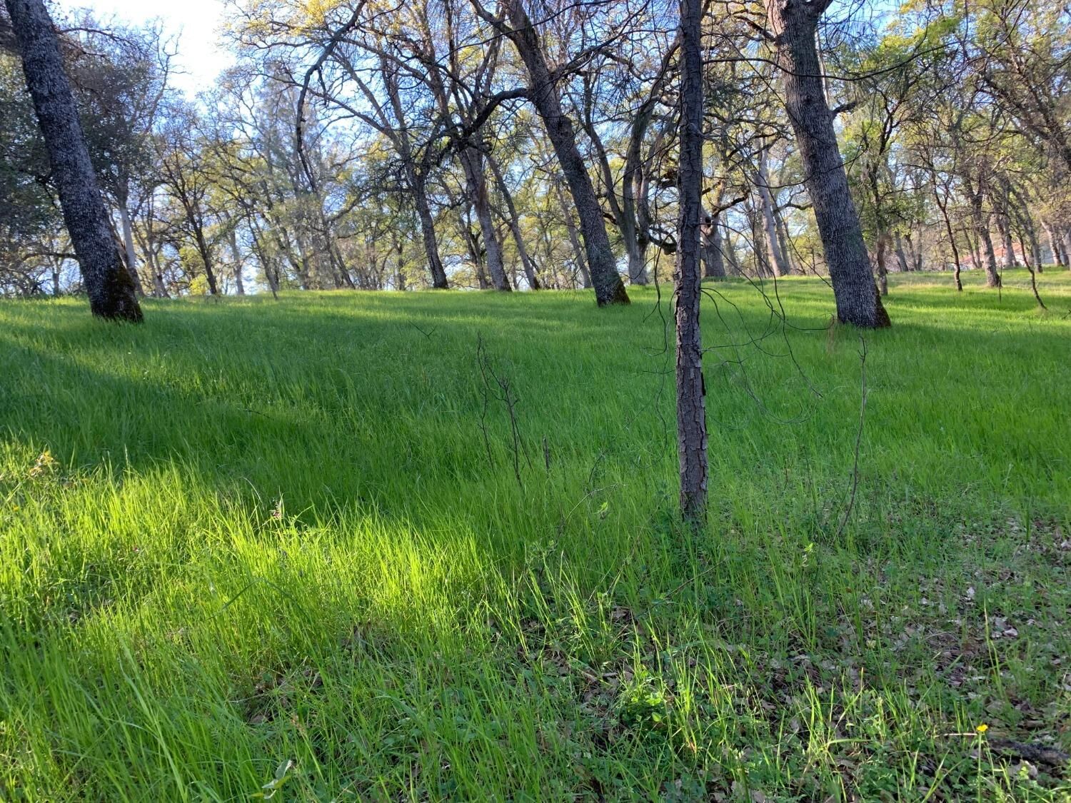 Property Photo:  12 Acres Solitude Way  CA 95682 
