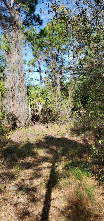 Property Photo:  11489 Claggett Avenue  FL 33981 