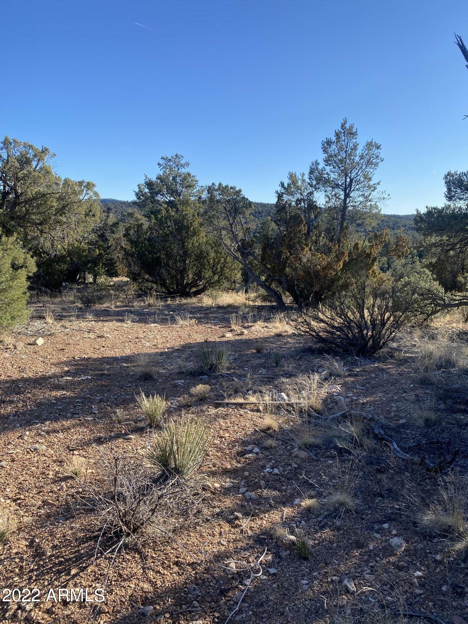 Property Photo:  51874 N Cordero Road 3382  AZ 86337 