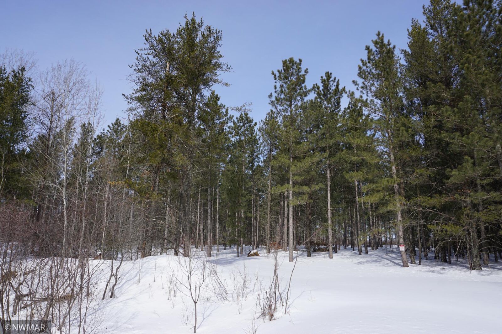 Property Photo:  Tbd 4th Street SW  MN 56435 