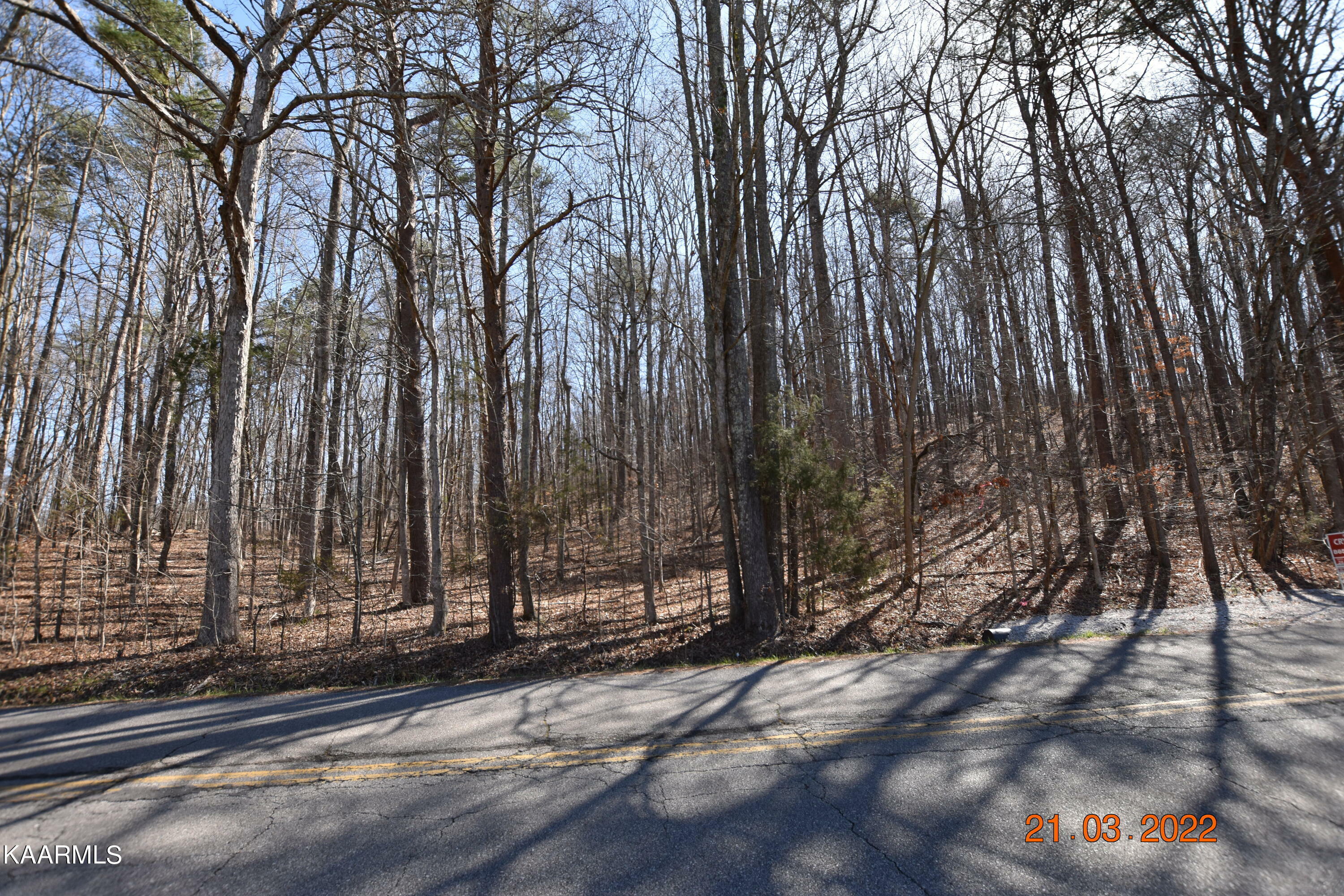 Property Photo: 1175 Salem Valley Rd TN 37880