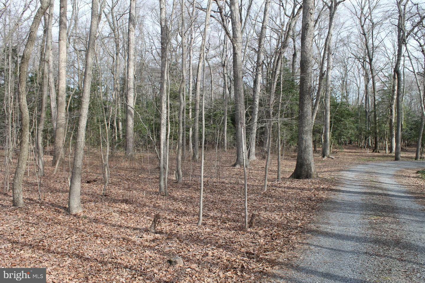 Property Photo: Lot 17 Morgans Choice Road DE 19934