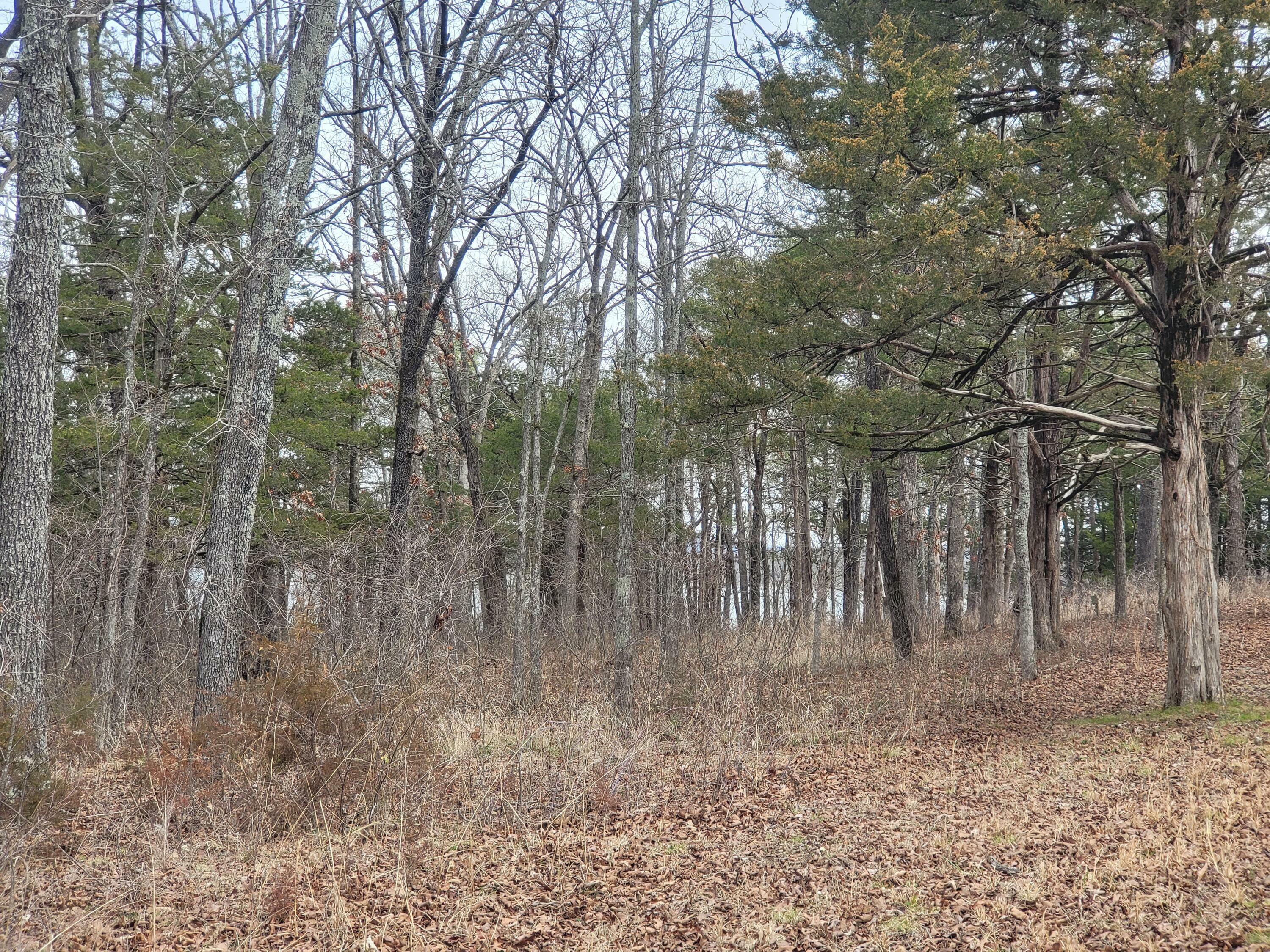 Property Photo:  Lot 33 Eagles Point  MO 65747 