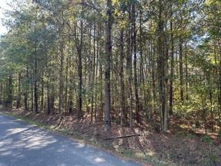 Lot 6 Big Lake Road  Pineville LA 71360 photo