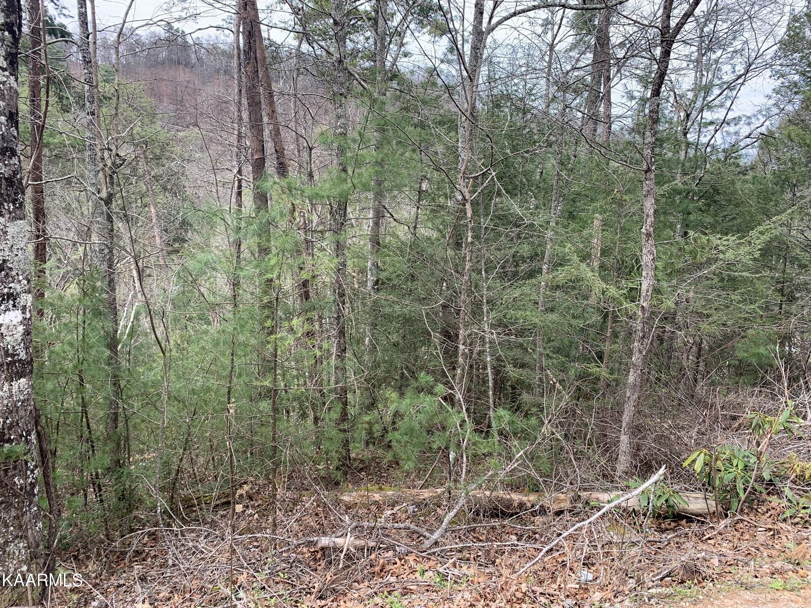 Property Photo: Lot 0251 Ski View Lane TN 37863