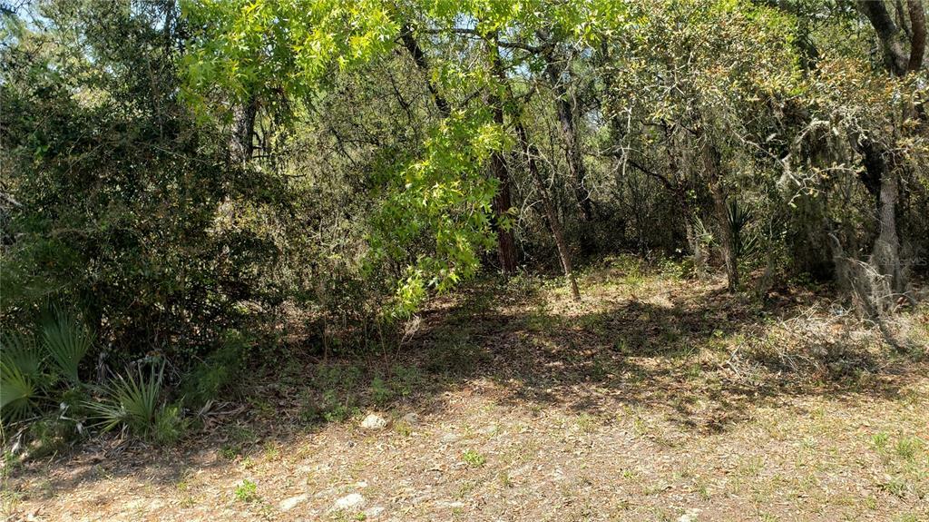 Property Photo:  SW 43rd Circle  FL 34473 