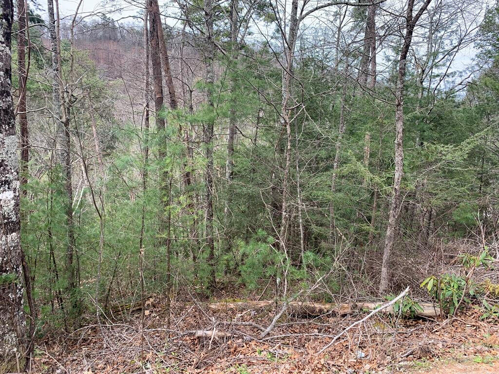 Property Photo: Lot 0251 Ski View Lane TN 37863