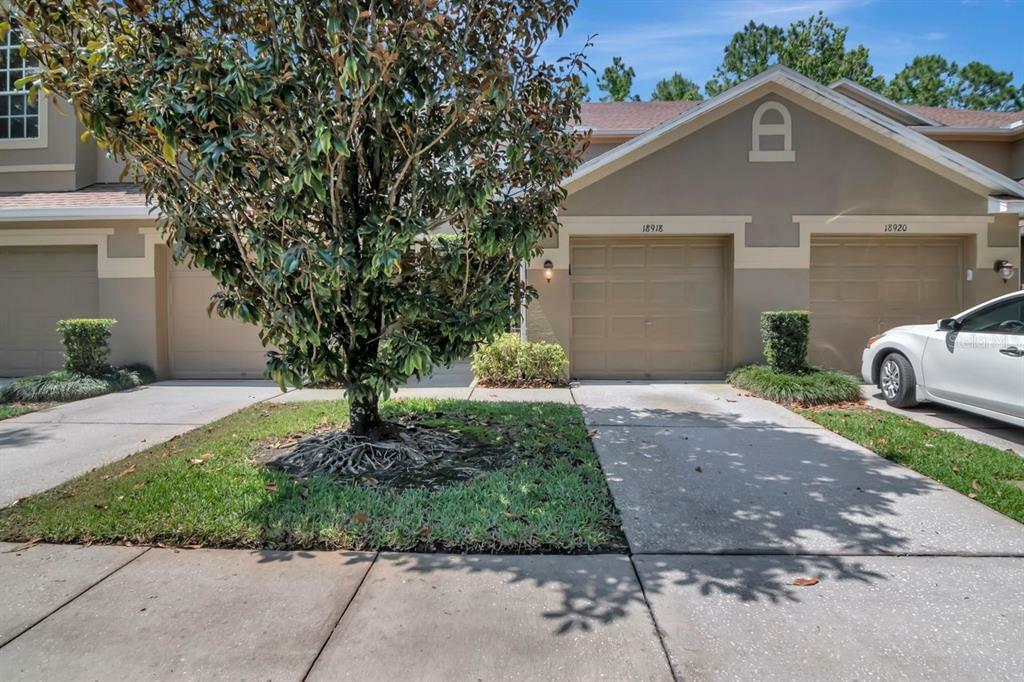 Property Photo:  18918 Duquesne Drive  FL 33647 