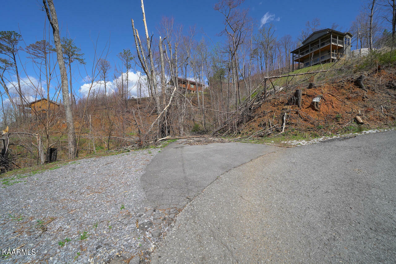 Property Photo:  729 Fox Hollow Rd  TN 37738 