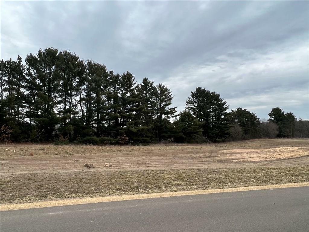 Property Photo:  Lot 27 Hope Lane  WI 54701 