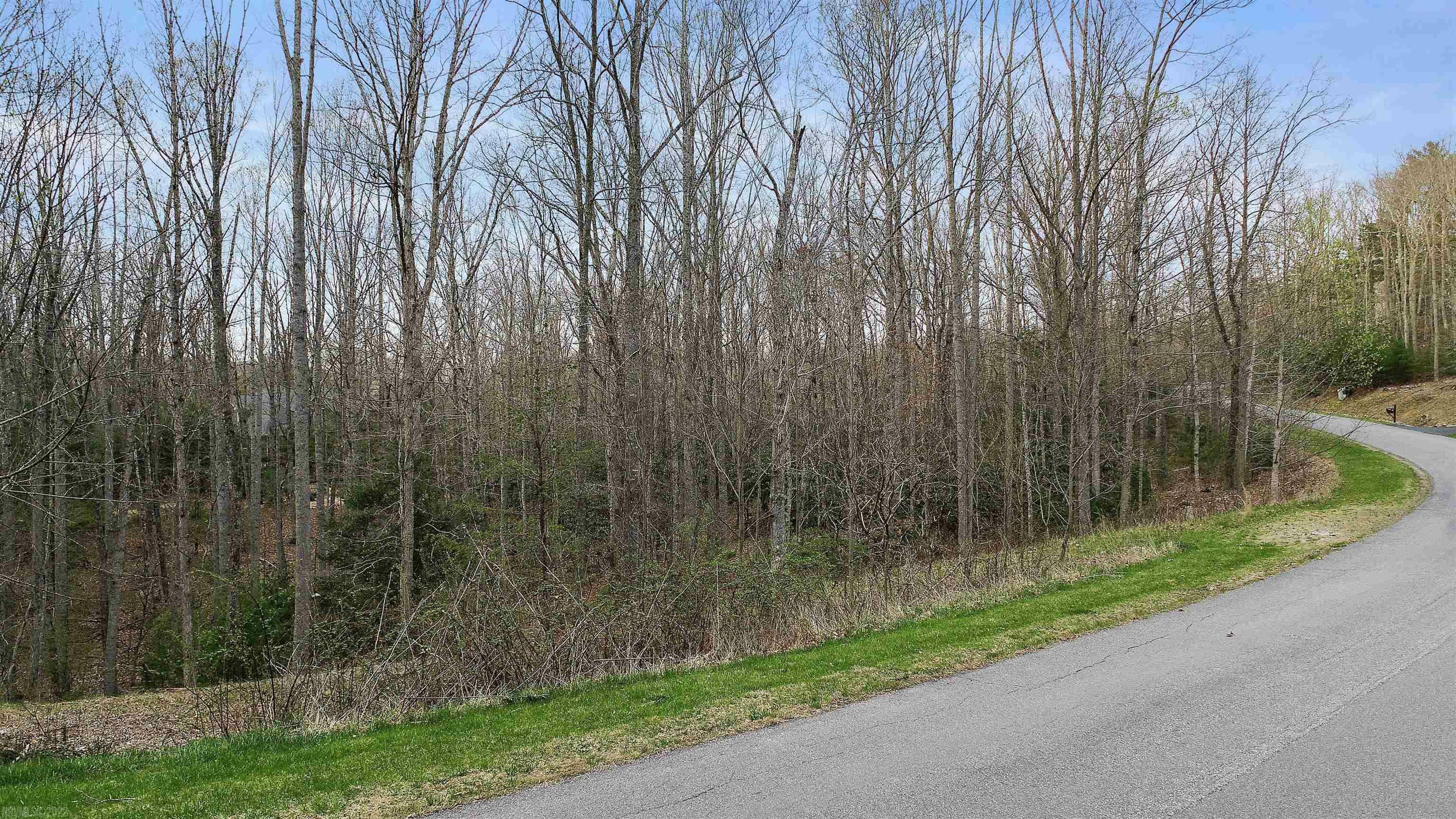 Property Photo:  1115 Treetop Ridge Road  VA 24060 