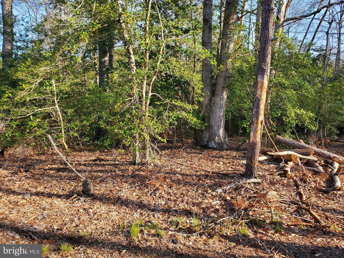 Property Photo:  Lot 19 Elm Drive  VA 22443 