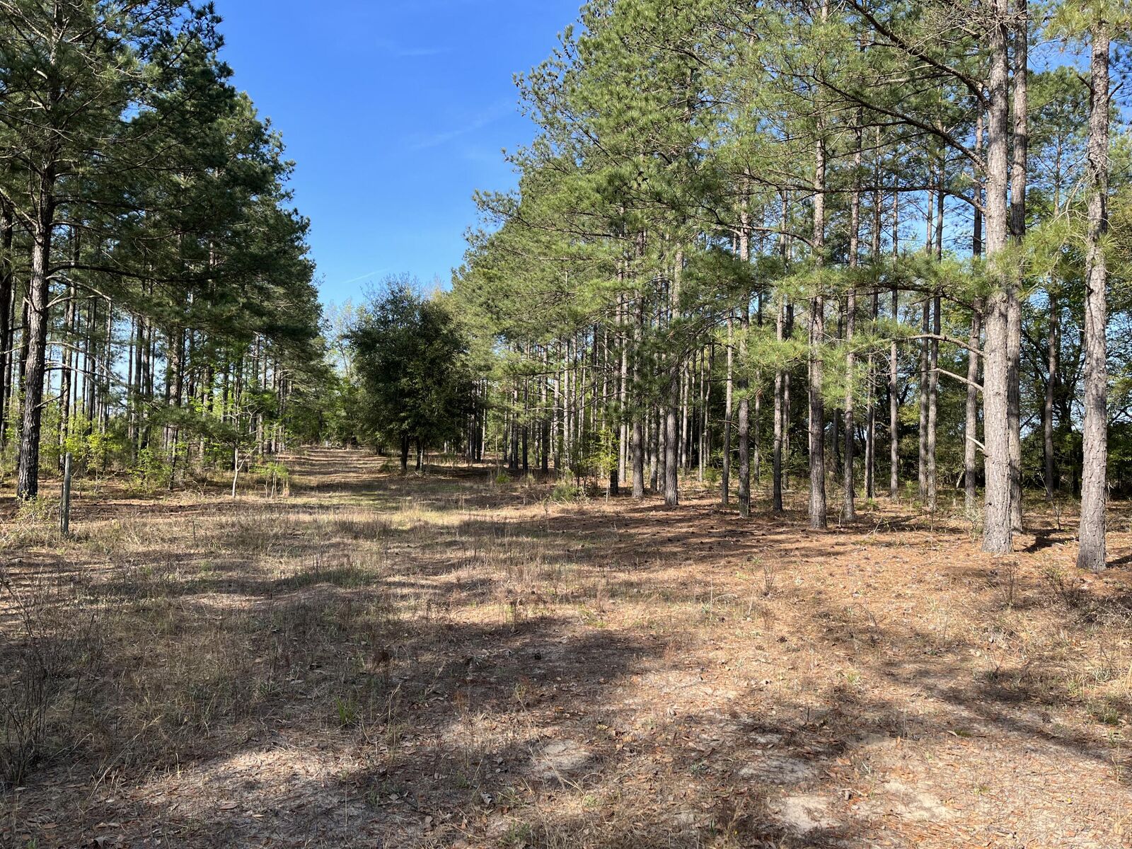 Property Photo: Tbd Vice Road SC 29030