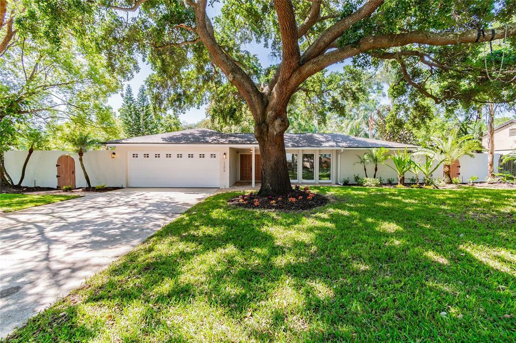 Property Photo:  1206 Magdalene Grove Avenue  FL 33613 