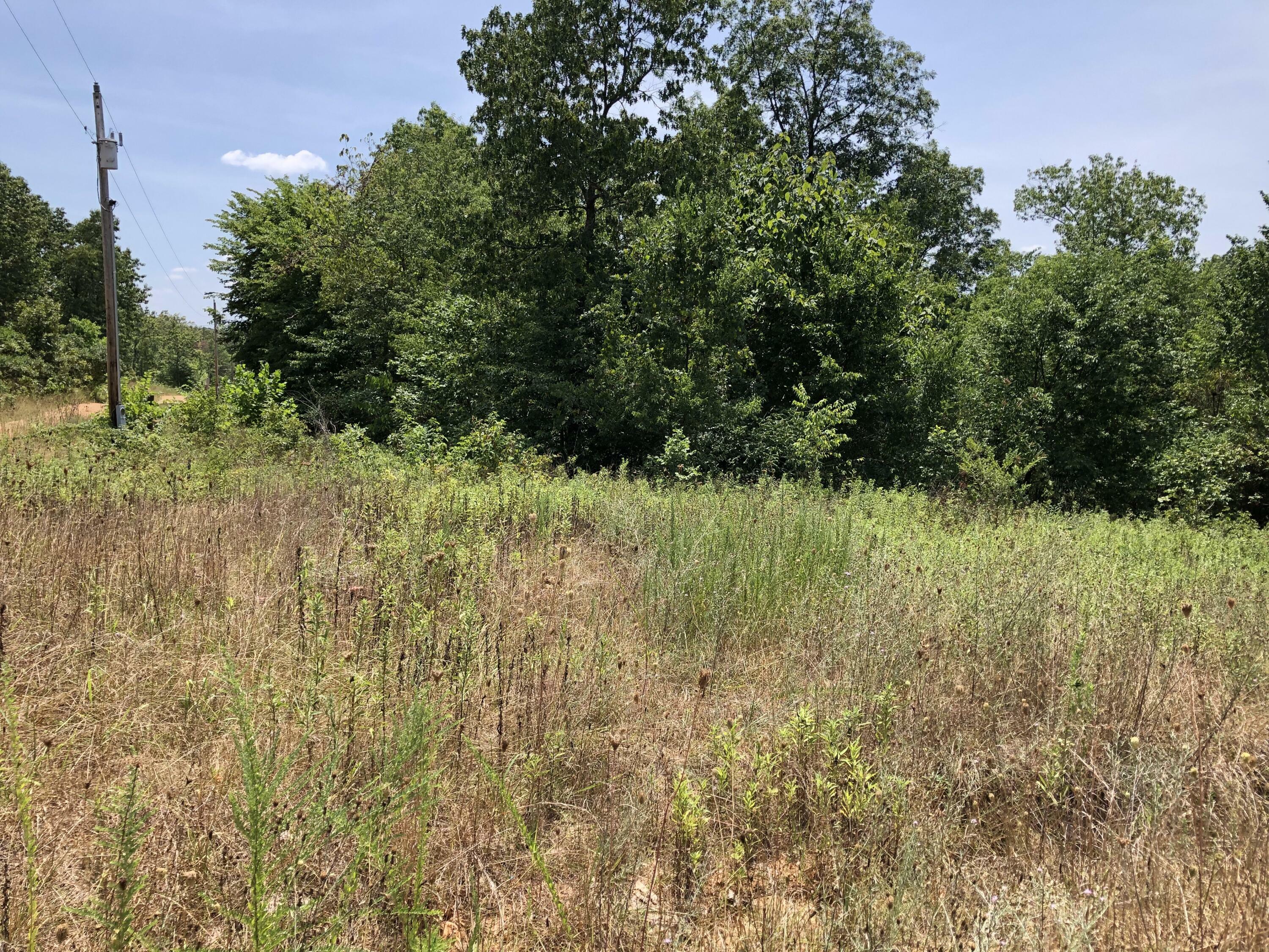 Property Photo:  000 Red Oak Road  MO 65606 