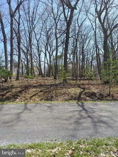 Property Photo: Lot 3A Hollybush Lane WV 25411