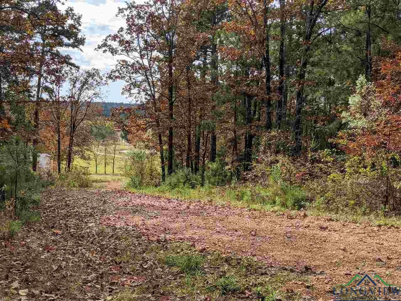 Property Photo: Tbd E Noonday Rd 5594 Noonday Rd. TX 75650
