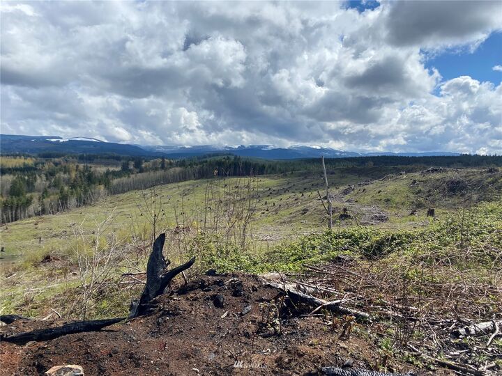Property Photo:  0 Tono Road SE  WA 98589 