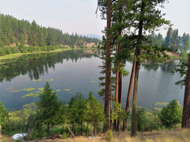 Property Photo:  5 McKeen Spur Road  WA 99166 