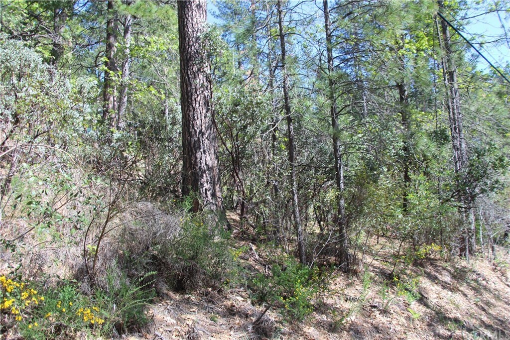 Property Photo: 12470 Maple Lane CA 95461