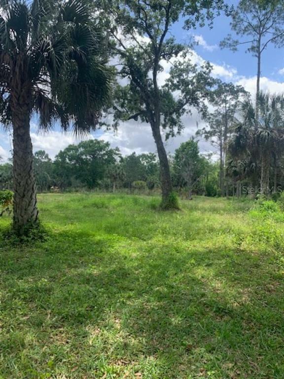 Property Photo:  8674 Sweetwater Trail  FL 34747 