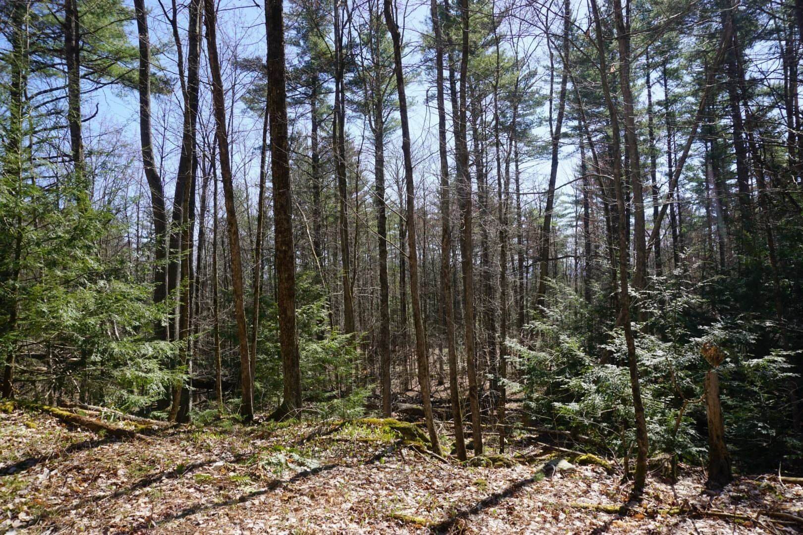 Property Photo:  200 Towers Road  VT 05452 