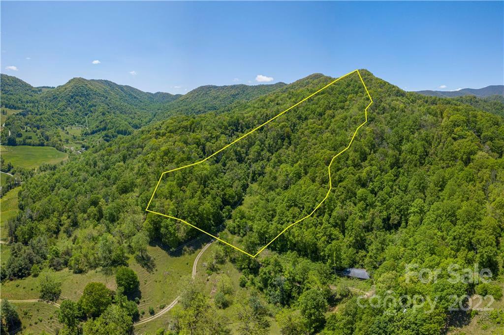 Property Photo:  99999 Willow Creek Road  NC 28748 