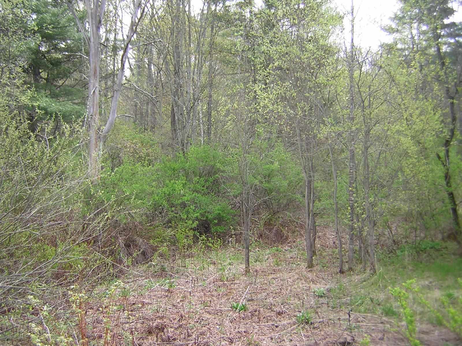 Property Photo: 0 Foxfire Lane 34 VT 05672
