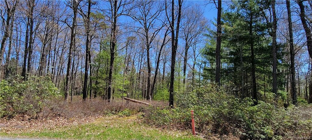 Property Photo:  Lot 3 Crystal Lake Road  NY 12720 