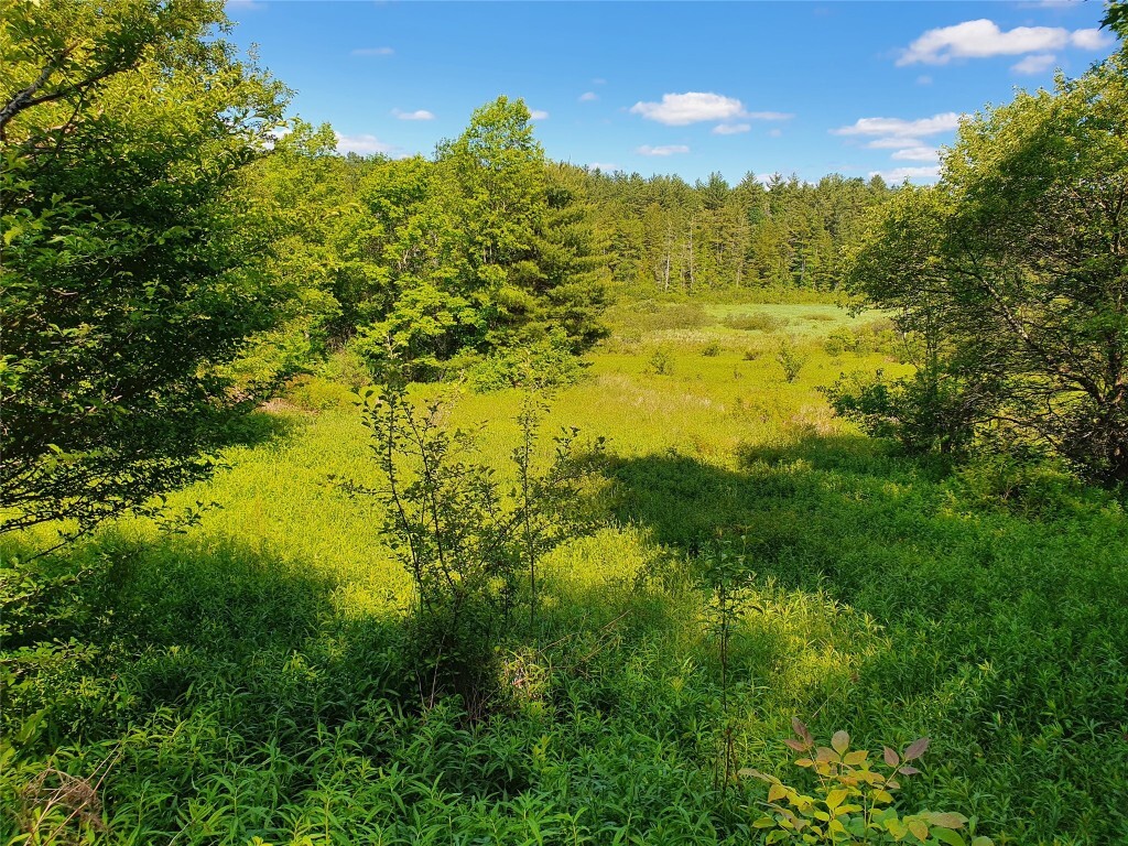 Property Photo: 0 Waldon Road Tn 5 NY 13605