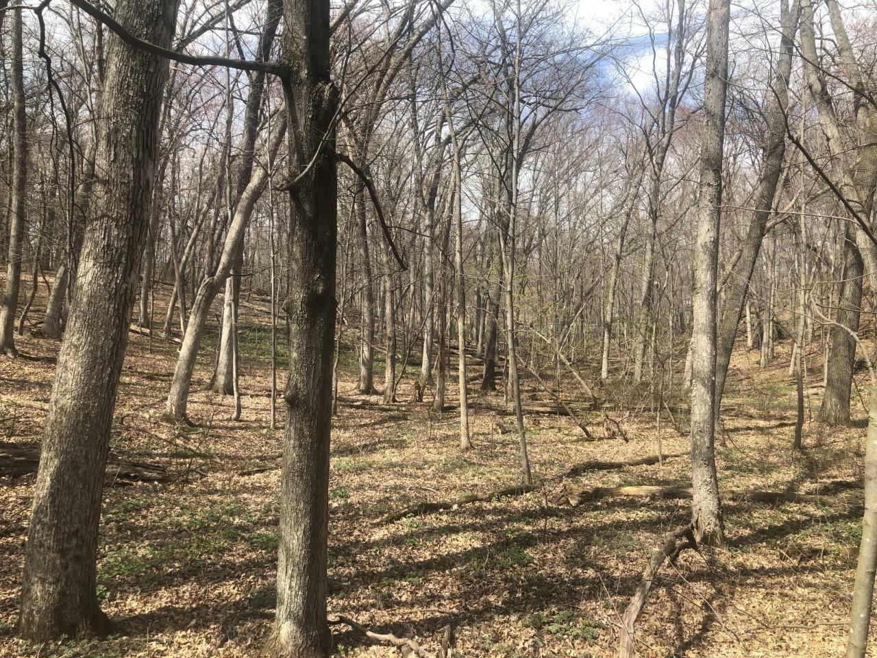 Property Photo: L60 Christmas Mountain Rd WI 53965