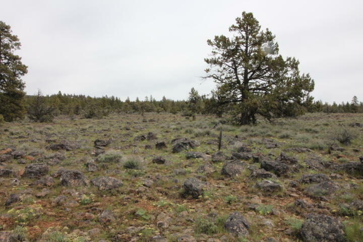 Property Photo:  Bluejay Drive Lot 11  OR 97623 