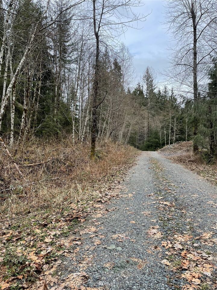 MLS1930967 12345 West Shore Drive, Lake Cavanaugh, WA 98274