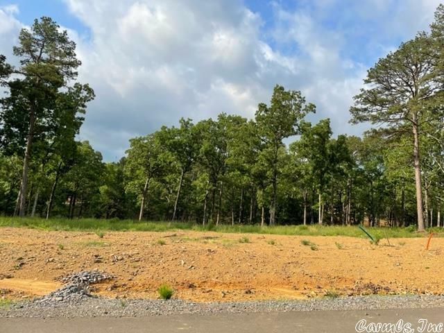 Orchard Hill Lot 6 Ph 3  Conway AR 72034 photo