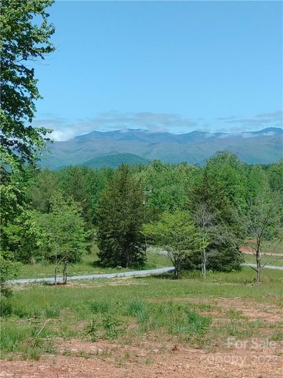 Property Photo:  2446 Old Fort Sugar Hill Road 2  NC 28762 