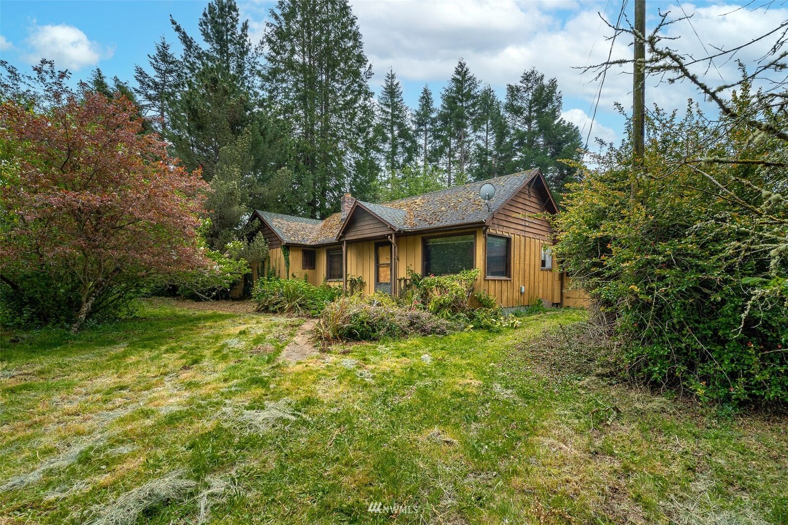 Property Photo:  218 Young Road  WA 98564 